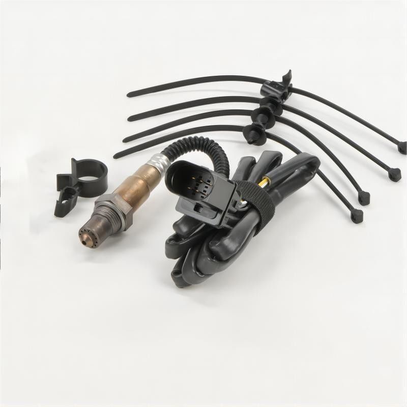 1997-2005 Proprietários da VW atualizar para RMOS 066906262 para desempenho óptimo do sensor de O2